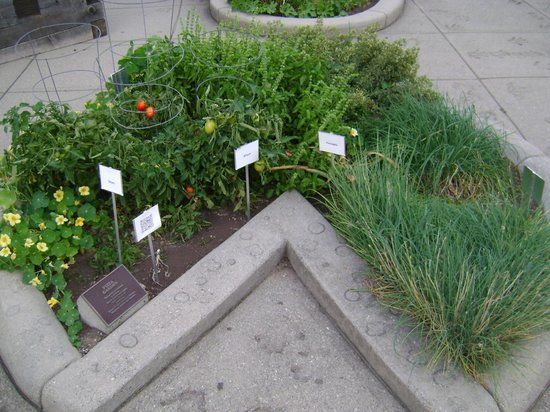 Michigan 4-H Children's Garden